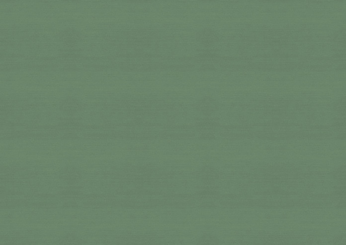 Shima Faux Silk, Fern - Roman Blind - Image 7